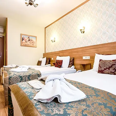 Grand Gross 3* Стамбул