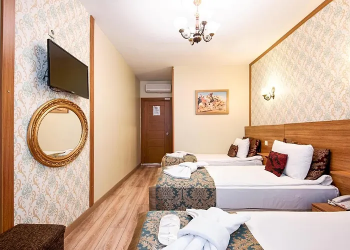 Grand Gross فندق اسطنبول