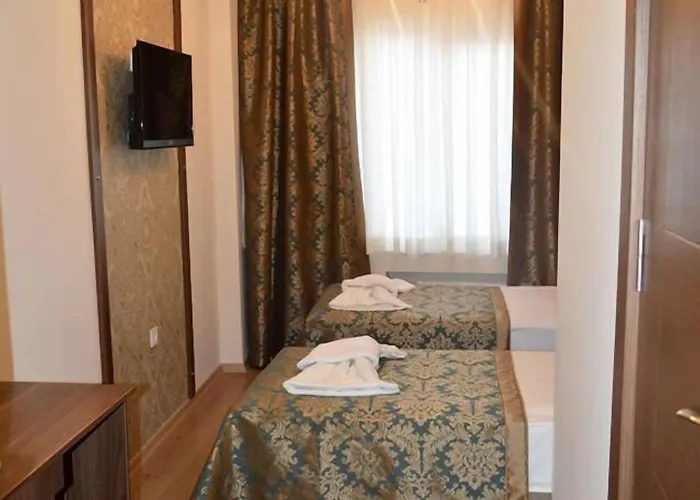 Grand Gross فندق اسطنبول